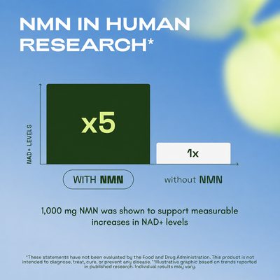 Pure NMN Powder 1000mg