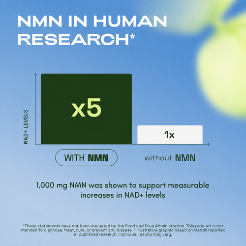 Pure NMN Powder 1000mg